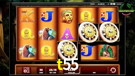 Descubra a Magia dos Jogos de Arcade no t55